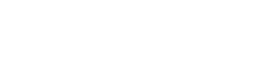 PayPal payment logo