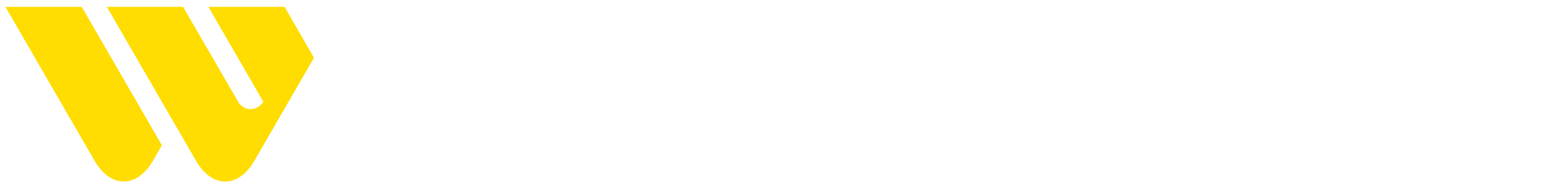 Western Union payment logo